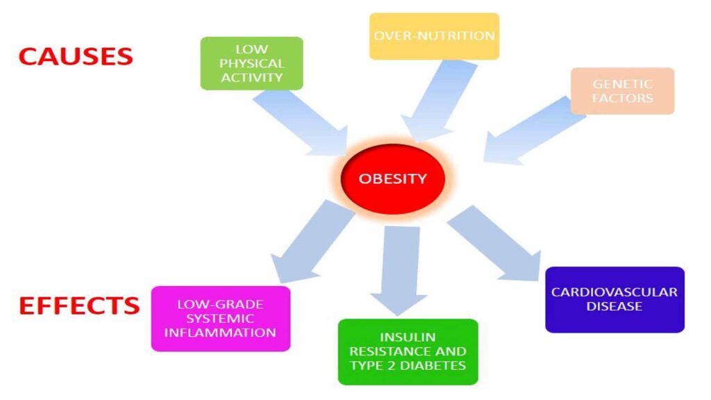 Weight Management