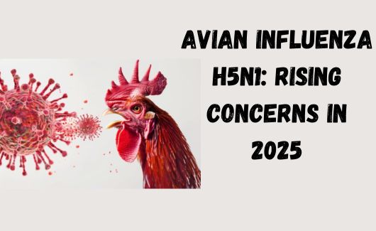 Avian Influenza H5N1: Rising Concerns in 2025